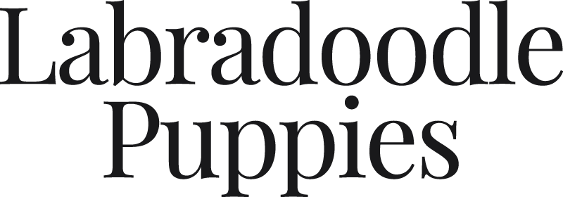 Adventure Boat Tours Logo